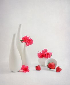 Fresh Strawberries Pink Flowers by Alice Sheng