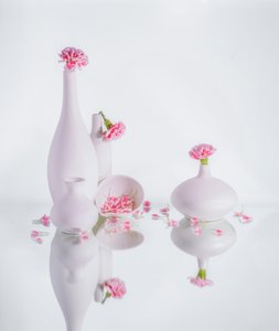 Serene Pink Vases by Alice Sheng