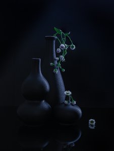 Serene Vases and Blooms by Alice Sheng