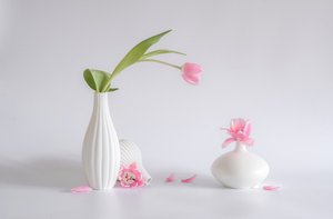 Soft Pink Tulip Arrangement by Alice Sheng