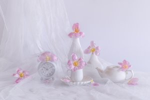Soft Pink Tulips by Alice Sheng