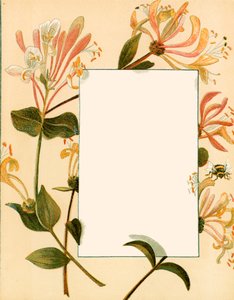 August by Alicia Amy Leith