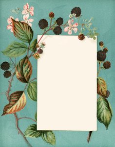 September by Alicia Amy Leith