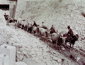 Scene showing marble blocks being transported from a quarry in Carrara. The wagon is being drawn by ten oxen