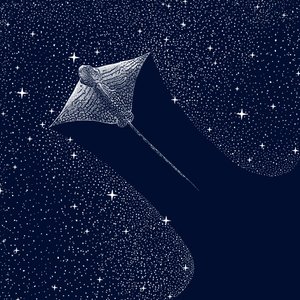 Cosmic Eagle Ray by Alirıza ÇAKIR