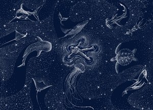 Cosmic Ocean Dream by Alirıza ÇAKIR