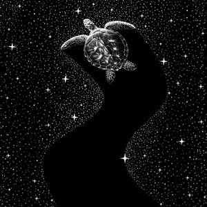 Cosmic Sea Turtle by Alirıza ÇAKIR