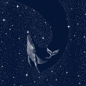 Starry Night Whale by Alirıza ÇAKIR