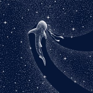 Whale Shark Galaxy Journey by Alirıza ÇAKIR