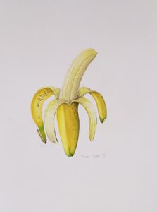 A Half-peeled Banana, 1997