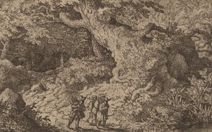 A Thick Forest by Allart van Everdingen