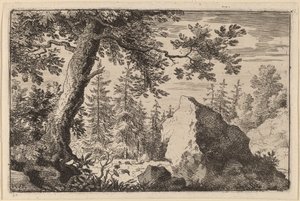 Boulder in the Woods by Allart van Everdingen