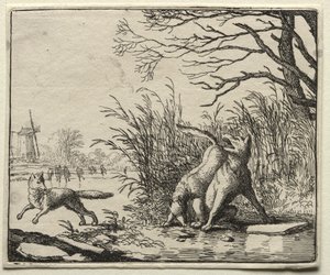 Reynard the Fox: A New Accusation by the Wolf