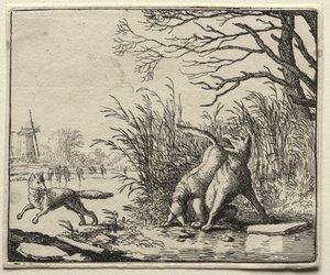 Reynard the Fox: A New Accusation by the Wolf