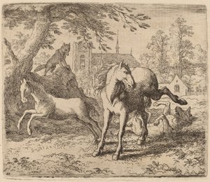 The Mare and the Wolf, probably c. 1645-1656 by Allart van Everdingen