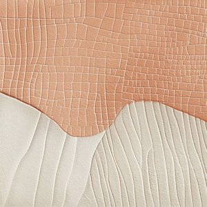Abstract Skin Waves by Alma