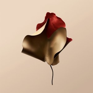 Elegant Leather Flower by Alma