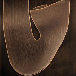 Flowing Organic Form by Alma