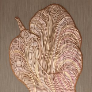 Flowing Organic Lines by Alma