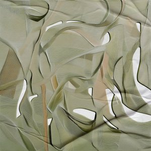 Gentle Organic Flow by Alma