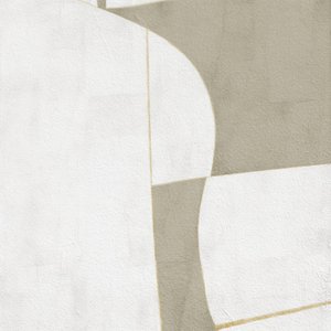 Minimal Curves And Shadows by Alma