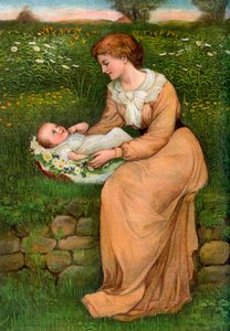 A Bed of Daisies, 1905