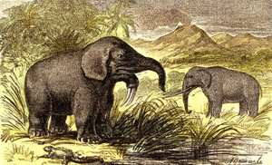 Prehistory-Miocene Period: From right to left: the Dinotherum and the Mastodonte by Alphonse Demarle