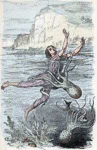 Zoological Board: Cephalopod Mollusk, Bather Seized by a Large Octopus and Musquee Eledone (Zoological Plate: Swimmer Seized by an Octopus) Engraving from 