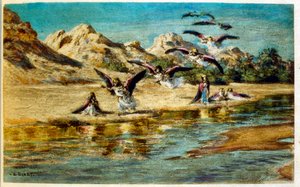 Illustration from 
