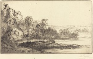 Along the Terne