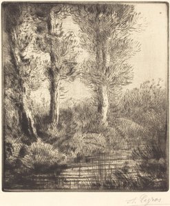 Banks of the Saint-Pre