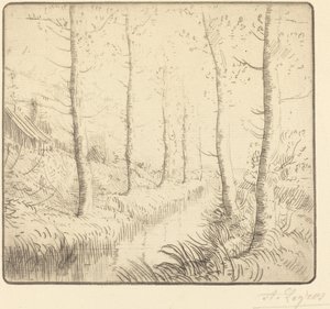 Birch Trees along the Water by Alphonse Legros