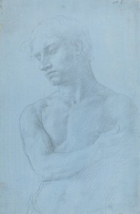 Bust of Nude Man