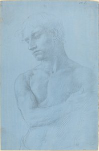 Bust of Nude Man