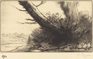 Corner of a Path