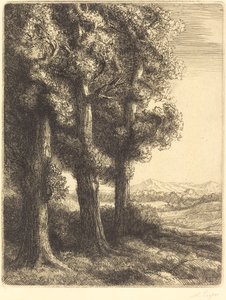Corner of a Wood by Alphonse Legros