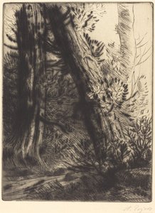 Edge of a Brook by Alphonse Legros