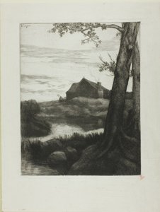 Farm with Large Tree