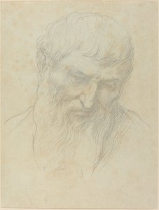 Head of a Man with Curly Hair and Beard by Alphonse Legros