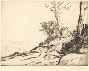 Hill with Bushes