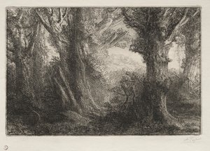 In the Forest at Conteville by Alphonse Legros