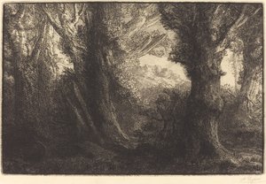 In the Forest of Conteville by Alphonse Legros