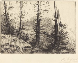 In the Pyrenees by Alphonse Legros