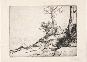 The Hill of Brushwood