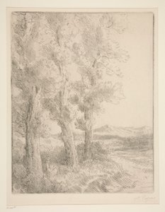 Woman Reading: Lesson under the Trees by Alphonse Legros