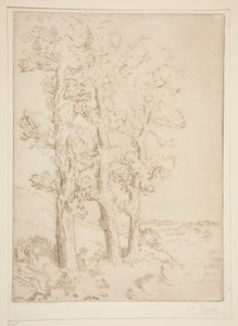Woman Reading: Lesson under the Trees by Alphonse Legros