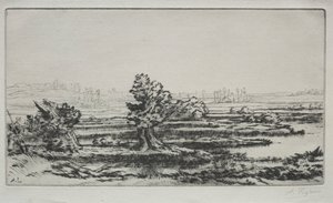 Landscape
