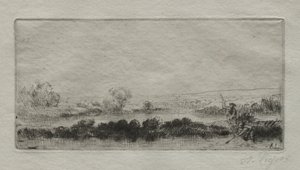Landscape with Beat-bog: In the Marsh