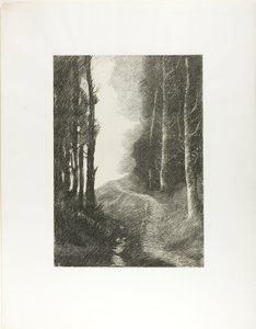 Landscape with Birch Trees