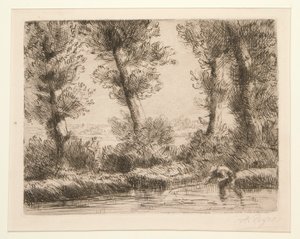 The Banks of the Liane